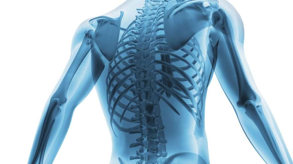 X-ray style image of a skeleton's back and spine, representing how the body holds onto old injuries